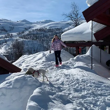 Roni - Holdeskaret Chalet
